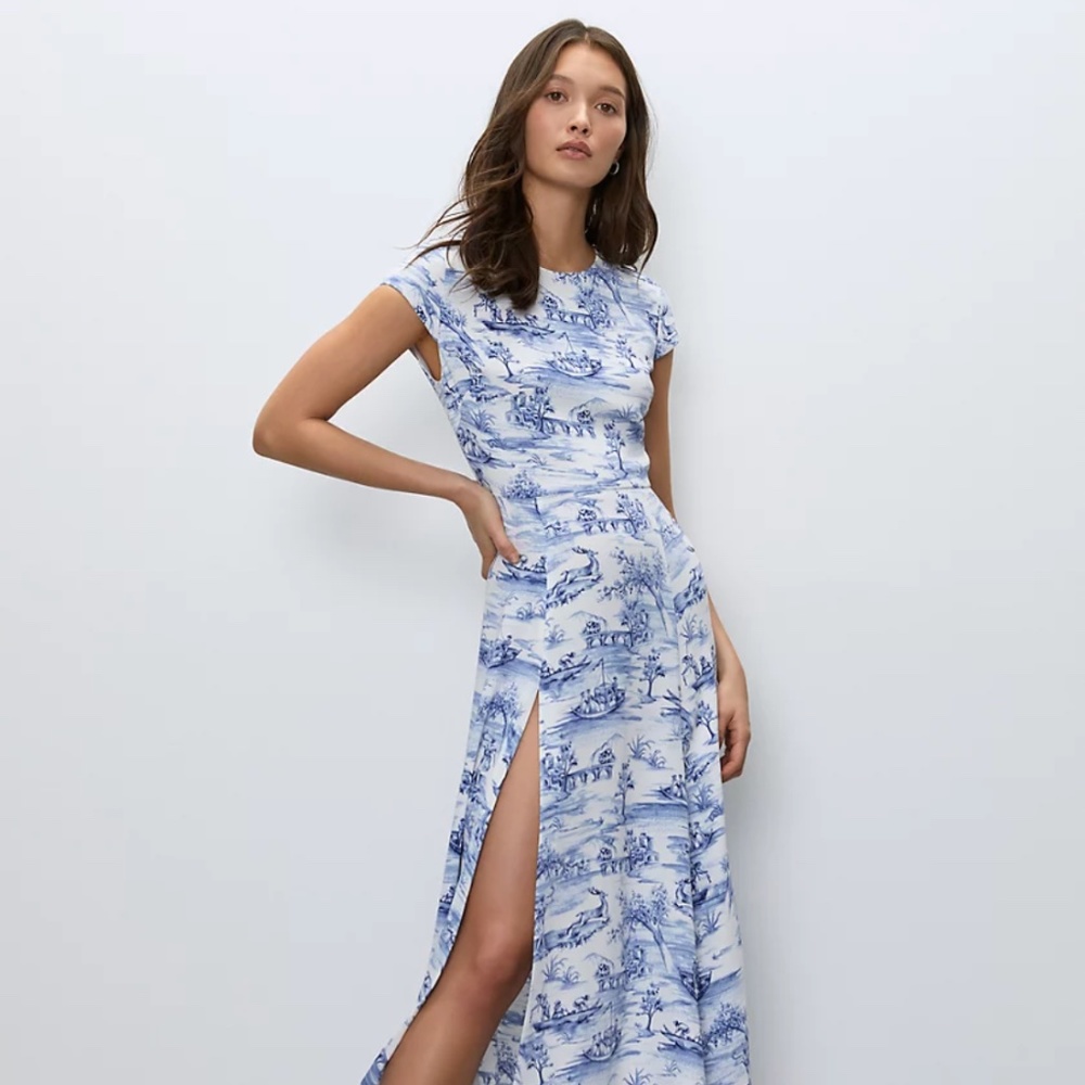Babaton Hamptons dress in rare print